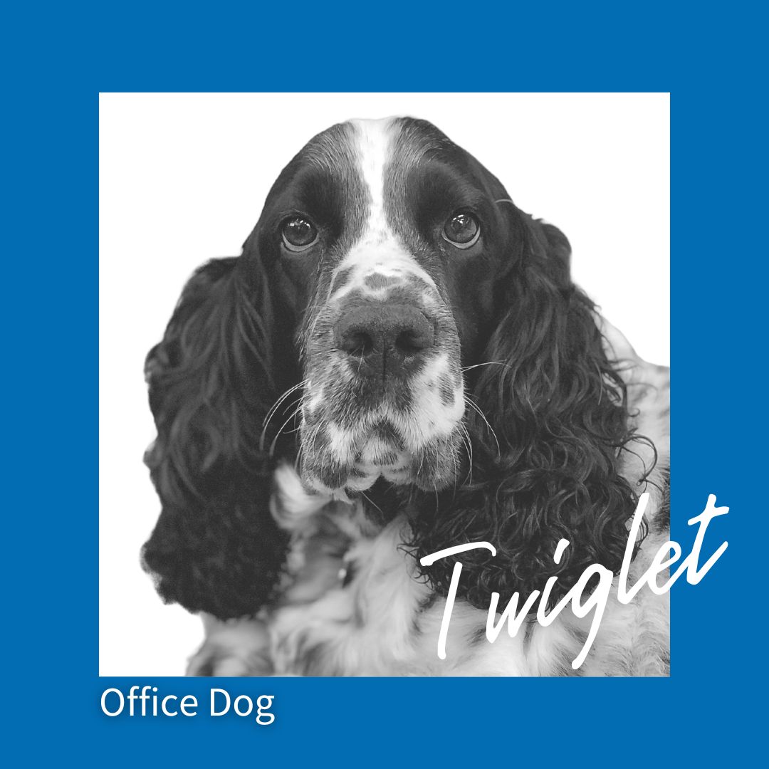 Office Dog, Twiglet